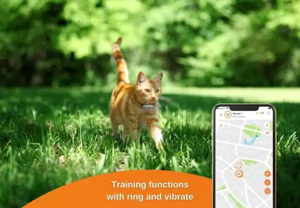 Weenect Cats 2 - Bilde 4