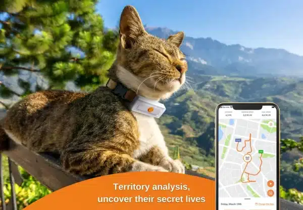 Weenect Cats 2 - Bilde 5