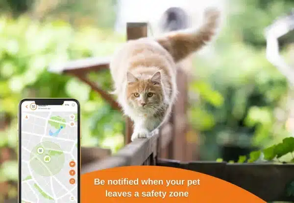 Weenect Cats 2 - Bilde 6